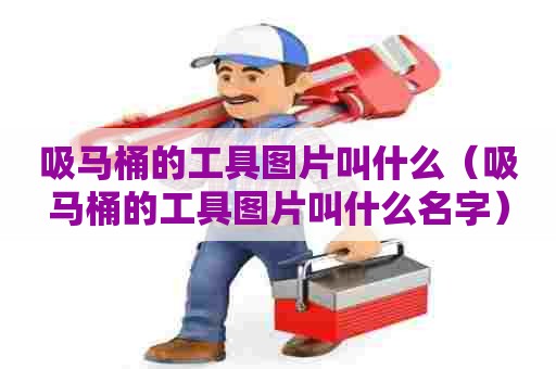 吸马桶的工具图片叫什么（吸马桶的工具图片叫什么名字）