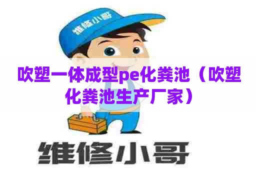 吹塑一体成型pe化粪池（吹塑化粪池生产厂家）