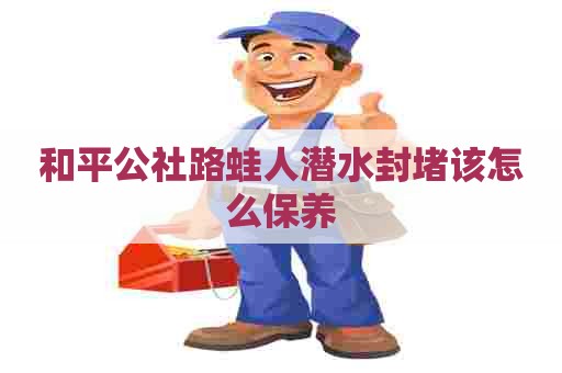 和平公社路蛙人潜水封堵该怎么保养