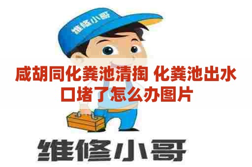 咸胡同化粪池清掏 化粪池出水口堵了怎么办图片