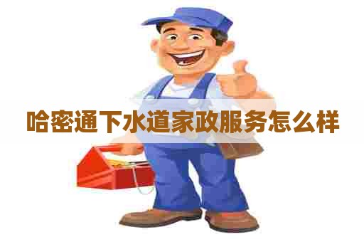 哈密通下水道家政服务怎么样