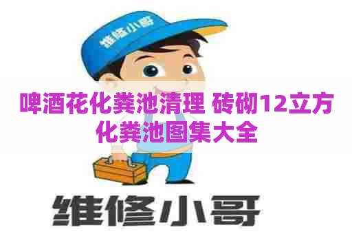 啤酒花化粪池清理 砖砌12立方化粪池图集大全