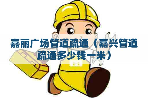 嘉丽广场管道疏通（嘉兴管道疏通多少钱一米）