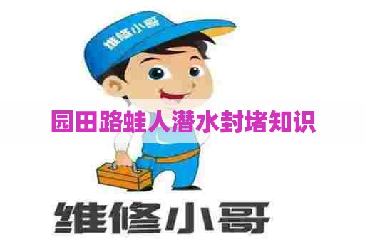 园田路蛙人潜水封堵知识