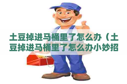 土豆掉进马桶里了怎么办（土豆掉进马桶里了怎么办小妙招）