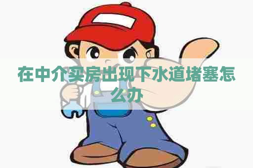 在中介买房出现下水道堵塞怎么办