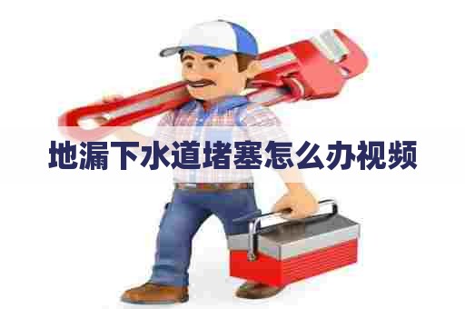 地漏下水道堵塞怎么办视频