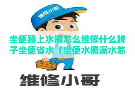 坐便器上水阀怎么维修什么牌子坐便省水(坐便水阀漏水怎么办) 坐便器上水阀怎么维修什么牌子坐便省水(坐便水阀漏水怎么办)