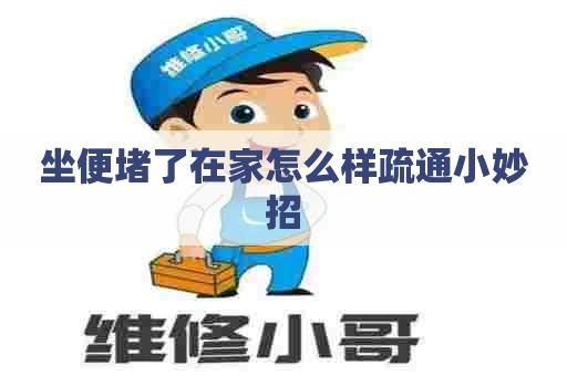 坐便堵了在家怎么样疏通小妙招