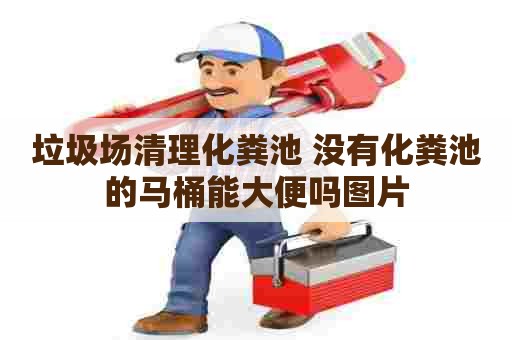 垃圾场清理化粪池 没有化粪池的马桶能大便吗图片