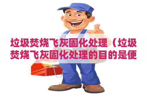 垃圾焚烧飞灰固化处理（垃圾焚烧飞灰固化处理的目的是便于储存和运输）