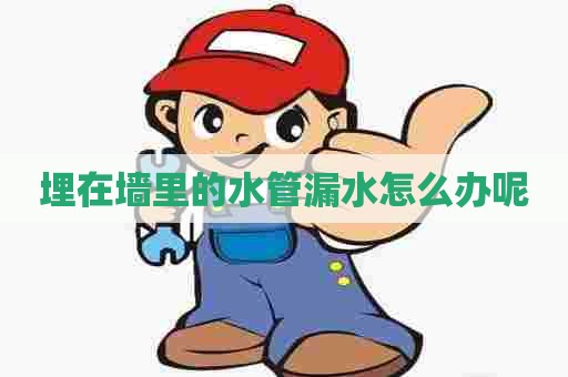 埋在墙里的水管漏水怎么办呢