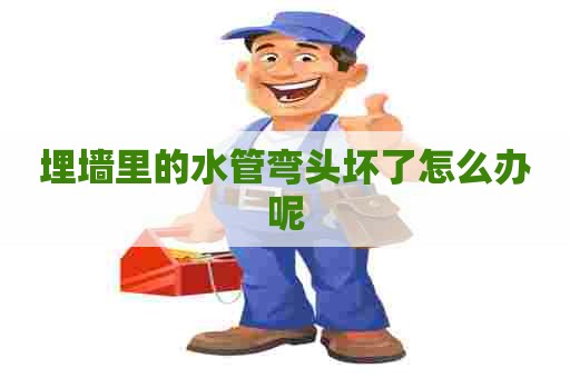埋墙里的水管弯头坏了怎么办呢