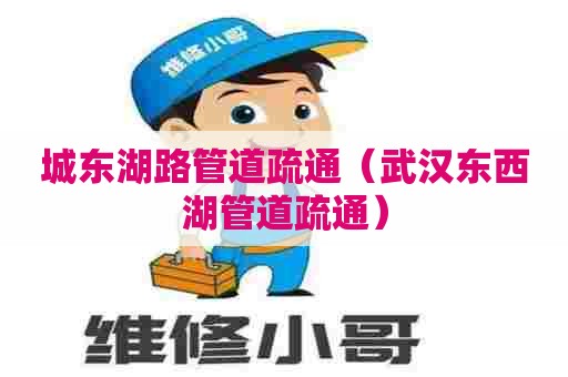 城东湖路管道疏通（武汉东西湖管道疏通）