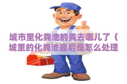 城市里化粪池的粪去哪儿了（城里的化粪池最后是怎么处理的）