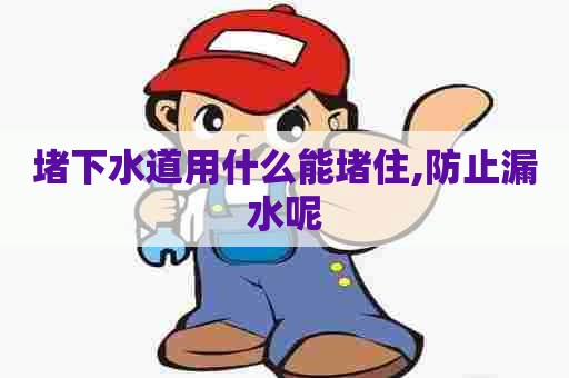 堵下水道用什么能堵住,防止漏水呢