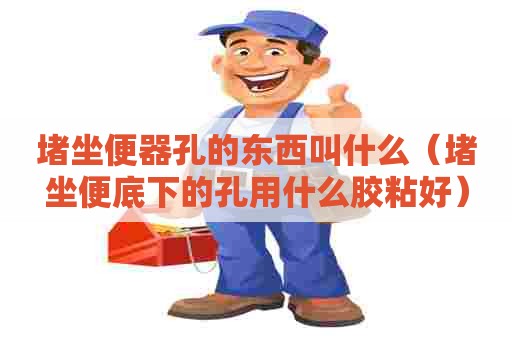 堵坐便器孔的东西叫什么（堵坐便底下的孔用什么胶粘好）