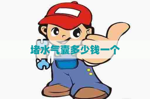 堵水气囊多少钱一个