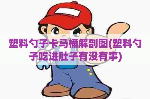 塑料勺子卡马桶解剖图(塑料勺子吃进肚子有没有事) 塑料勺子卡马桶解剖图(塑料勺子吃进肚子有没有事)