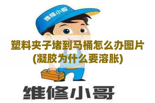 塑料夹子堵到马桶怎么办图片(凝胶为什么要溶胀)