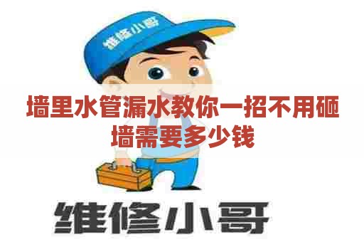 墙里水管漏水教你一招不用砸墙需要多少钱