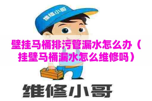 壁挂马桶排污管漏水怎么办（挂壁马桶漏水怎么维修吗）