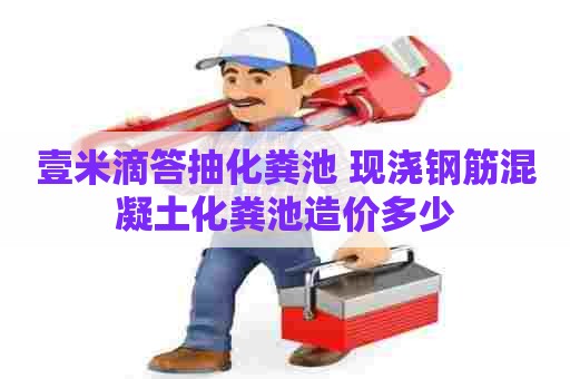 壹米滴答抽化粪池 现浇钢筋混凝土化粪池造价多少