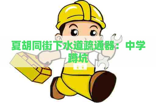 夏胡同街下水道疏通器：中学蹲坑