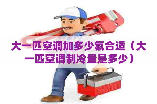 大一匹空调加多少氟合适（大一匹空调制冷量是多少）