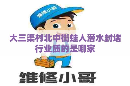 大三渠村北中街蛙人潜水封堵行业质的是哪家
