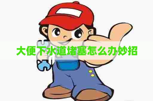 大便下水道堵塞怎么办妙招