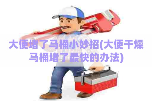 大便堵了马桶小妙招(大便干燥马桶堵了最快的办法) 大便堵了马桶小妙招(大便干燥马桶堵了最快的办法)