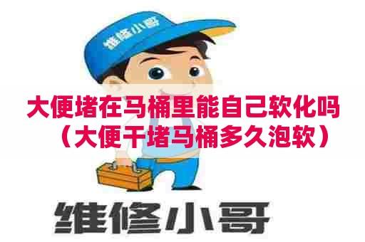 大便堵在马桶里能自己软化吗(大便干堵马桶多久泡软) 大便堵在马桶里能自己软化吗(大便干堵马桶多久泡软)
