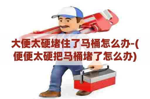 大便太硬堵住了马桶怎么办-(便便太硬把马桶堵了怎么办)