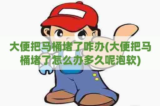 大便把马桶堵了咋办(大便把马桶堵了怎么办多久呢泡软)