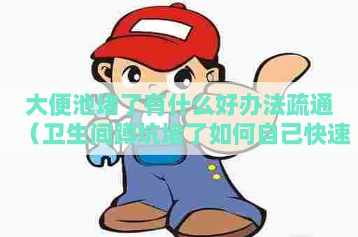 大便池堵了有什么好办法疏通（卫生间蹲坑堵了如何自己快速疏通）