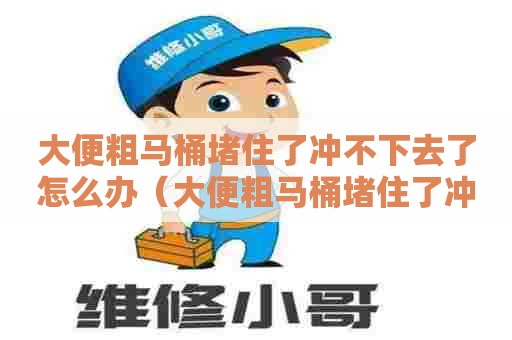 大便粗马桶堵住了冲不下去了怎么办（大便粗马桶堵住了冲不下去了怎么办呢）