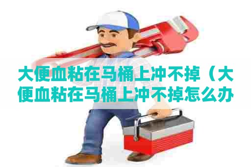 大便血粘在马桶上冲不掉（大便血粘在马桶上冲不掉怎么办）