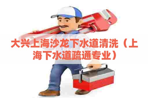 大兴上海沙龙下水道清洗（上海下水道疏通专业）