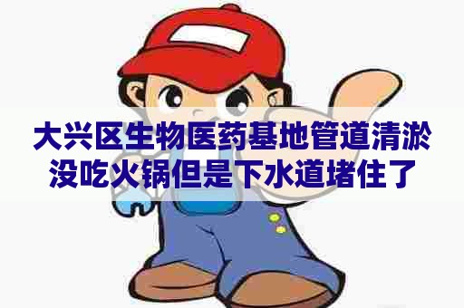 大兴区生物医药基地管道清淤没吃火锅但是下水道堵住了 大兴区生物医药基地管道清淤没吃火锅但是下水道堵住了