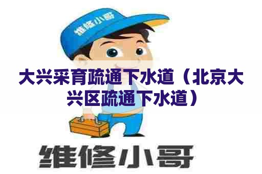 大兴采育疏通下水道（北京大兴区疏通下水道）