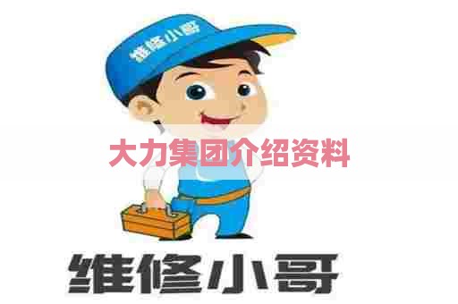 大力集团介绍资料