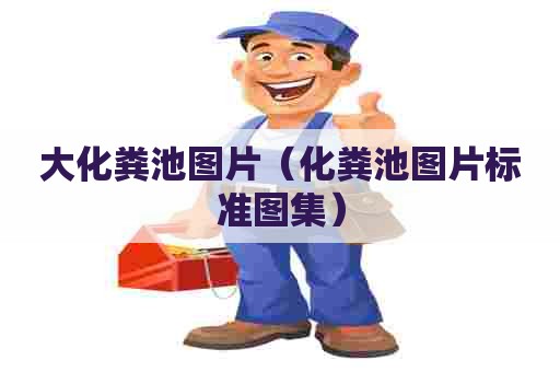 大化粪池图片（化粪池图片标准图集）