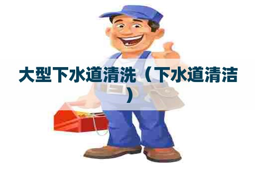大型下水道清洗（下水道清洁）