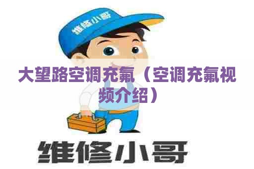 大望路空调充氟（空调充氟视频介绍）