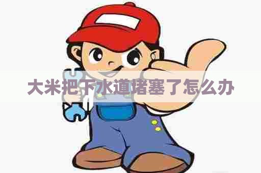 大米把下水道堵塞了怎么办