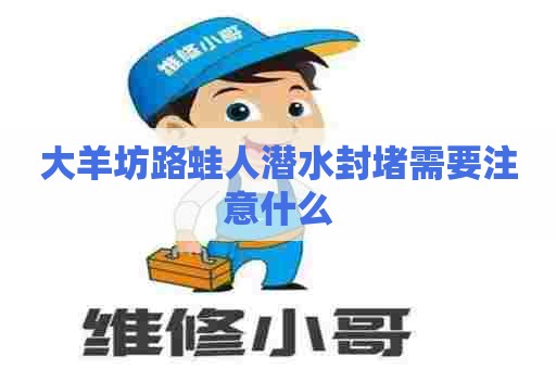 大羊坊路蛙人潜水封堵需要注意什么