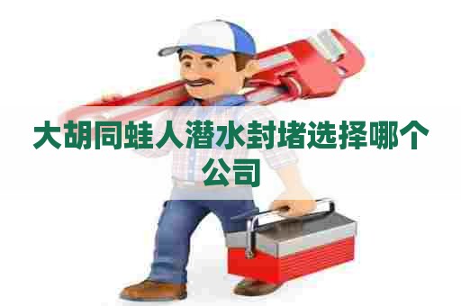 大胡同蛙人潜水封堵选择哪个公司