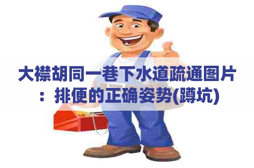 大襟胡同一巷下水道疏通图片：排便的正确姿势(蹲坑)