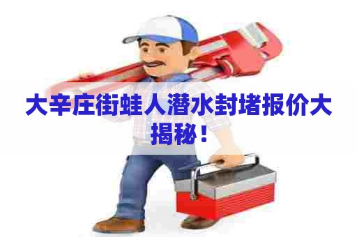 大辛庄街蛙人潜水封堵报价大揭秘！